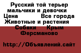 Русский той-терьер мальчики и девочки › Цена ­ 8 000 - Все города Животные и растения » Собаки   . Крым,Ферсманово